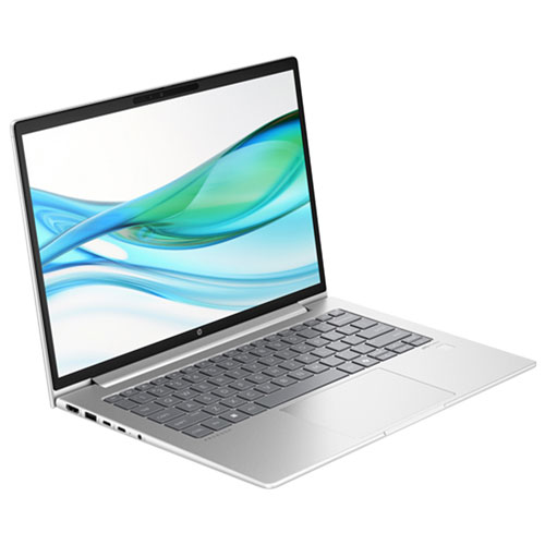HP ProBook 445 G11 14" Business Laptop - Pike Silver (AMD Ryzen 5 7535U/32GB RAM/512GB SSD/Win11 Professional) - En