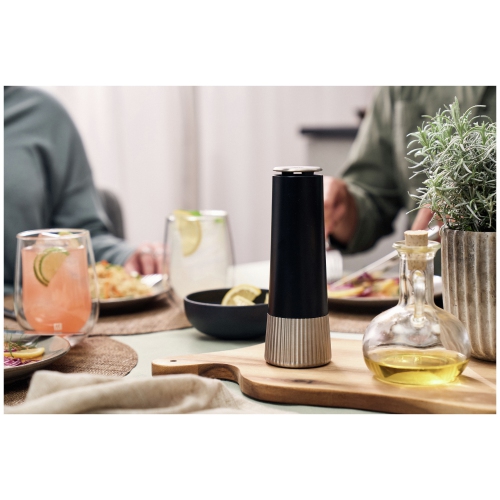 ZWILLING Spices Spice Mill 19 cm, Black