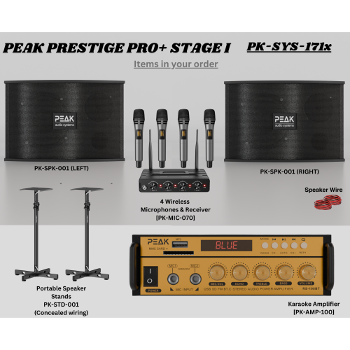 Système de karaoké PRESTIGE PRO+ STIGE I DE PEAK Karaoke – 600&nbsp;W