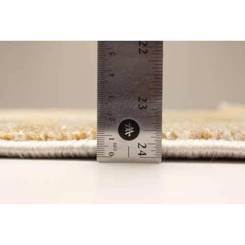 Cora Ivory/Gold Polypropylene Rug 5'3" x 7'3"