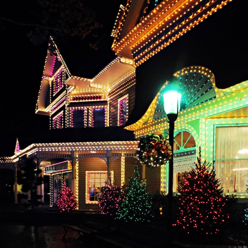 Parapet Clips for Use with Shingle Tab Christmas Clips - Pack of 100