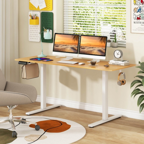 Costway 63 x 24 Inch Sit Stand Desk Height Adjustable Electric Standing Desk