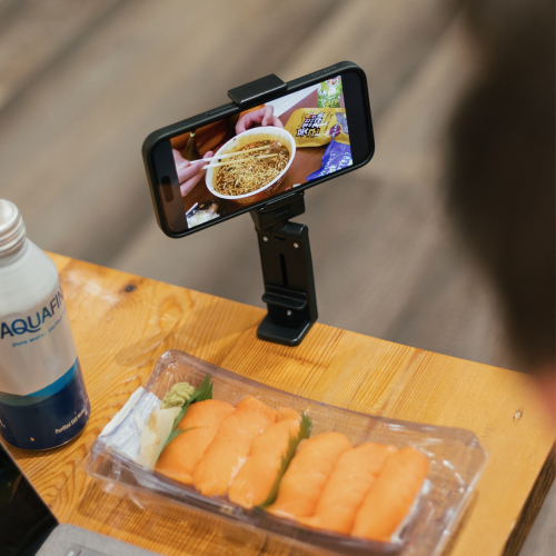 FlyEye Core Phone Mount