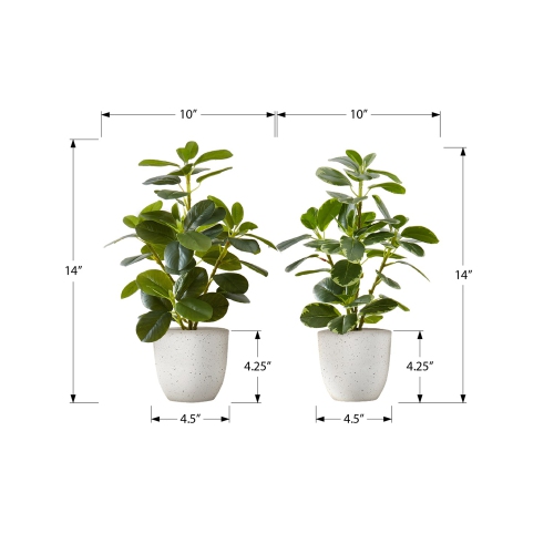 Monarch Specialties I 9557 - Artificial Plant, 14" Tall, Ficus, Indoor, Faux, Fake, Table, Greenery, Potted, Set Of 2, Decorative, Green Leaves,