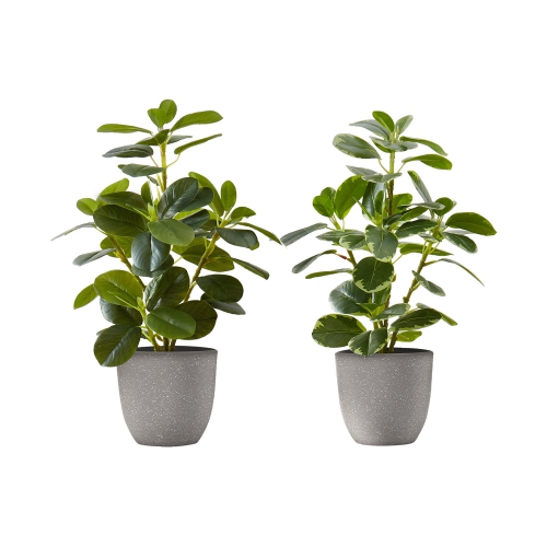 Monarch Specialties I 9558 - Artificial Plant, 14" Tall, Ficus, Indoor, Faux, Fake, Table, Greenery, Potted, Set Of 2, Decorative, Green Leaves, Grey