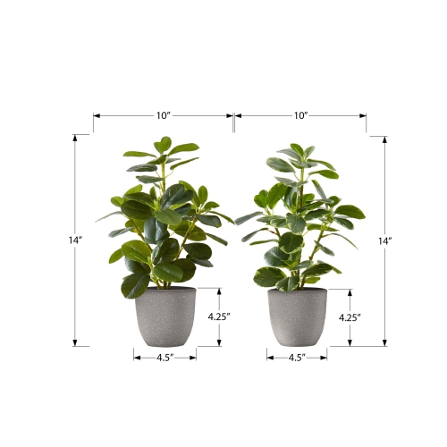 Monarch Specialties I 9558 - Artificial Plant, 14" Tall, Ficus, Indoor, Faux, Fake, Table, Greenery, Potted, Set Of 2, Decorative, Green Leaves, Grey