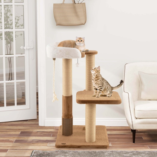 Arbre de chat intérieur de 44&nbsp;po de Costway avec poteaux en perche rembourrés en peluche pour gratter la plateforme