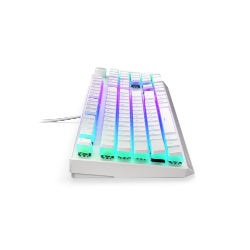 Endorfy Thock Wireless Keyboard | Kailh Box Red Switch | US Layout - Onyx White