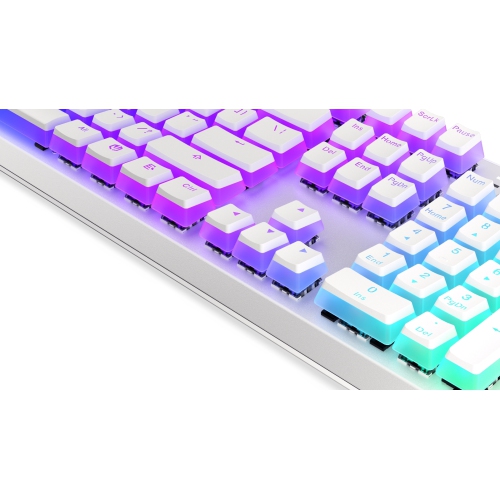 Endorfy Thock Wireless Keyboard | Kailh Box Red Switch | US Layout - Onyx White