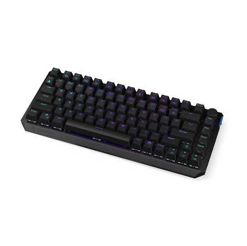 Clavier 75 % sans fil Endorfy Thock | Kailh Box Red Switch | Aménagement américain - Noir