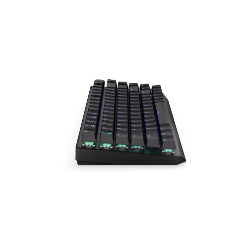 Clavier 75 % sans fil Endorfy Thock | Kailh Box Red Switch | Aménagement américain - Noir