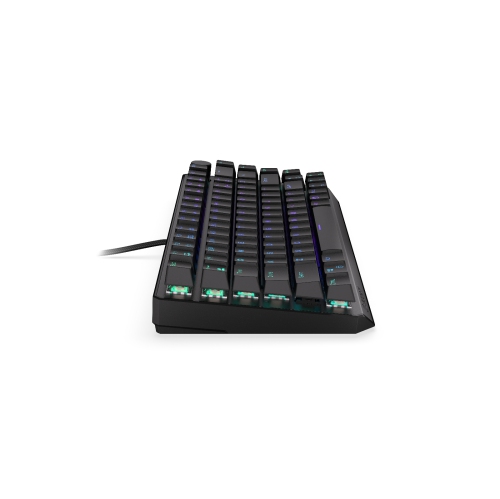 Clavier 75 % sans fil Endorfy Thock | Kailh Box Red Switch | Aménagement américain - Noir