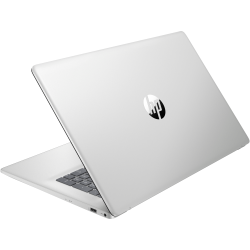 HP 17.3" FHD Anti-Glare Essential Laptop - Silver
