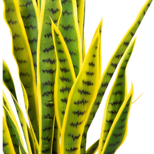 Artificial Potted Snake Plant - 38"