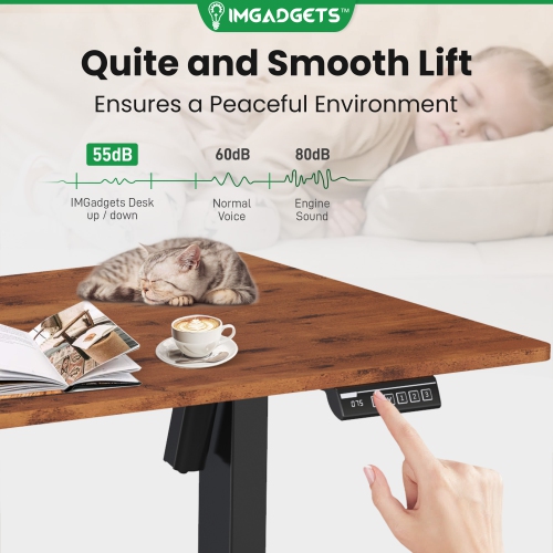 IMGadgets Standing Electric Adjustable Desk | 47'' x 24'' Large Workspace with 2 hooks | Ergonomic Sit-Stand Desk | 3-Memory Settings | Height