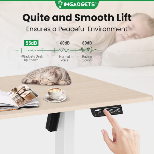 IMGadgets Standing Electric Adjustable Desk | 40'' x 24'' Large Workspace with 2 hooks | Ergonomic Sit-Stand Desk | 3-Memory Settings | Height