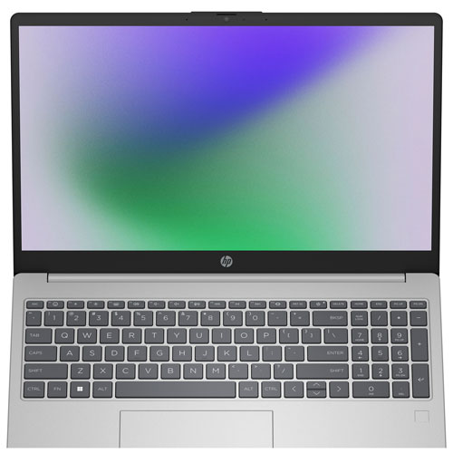 Portable de 15,6 po de HP - Argenté naturel