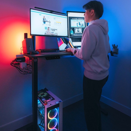 MotionGrey Ergo2 - Adjustable Electric Standing Desk with Memory Settings - 43"x24" White Top White Frame - Ergonomic Sit-to-Stand Desk for Home and