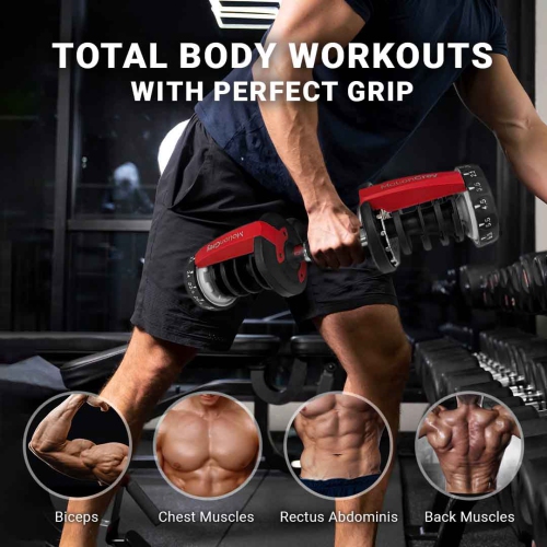 MotionGrey Adjustable Dumbbell Set-2 Dumbbells 5-52.5 LB & Workout Bench-Anti-slip Handle-Ideal for Home Gym Exercise & Workout Equipment- Free 2