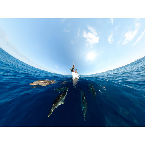 GoPro Max Waterproof 5.6K Spherical Video Sports Camera