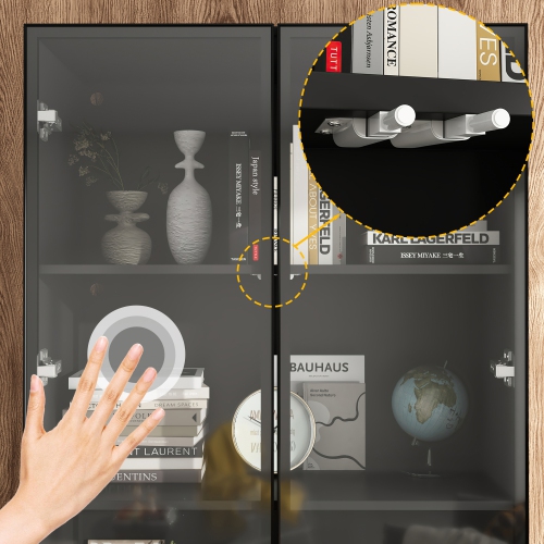 Homsee Modern Glass Door Bookshelf with LED Lighting and Adjustable Shelves for Living Room or Study, Black