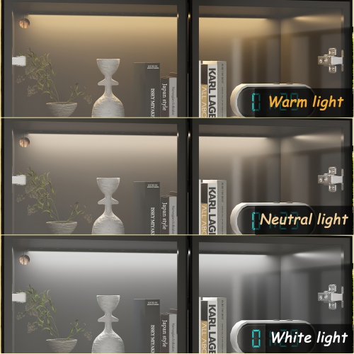 Homsee Modern Glass Door Bookshelf with LED Lighting and Adjustable Shelves for Living Room or Study, Black