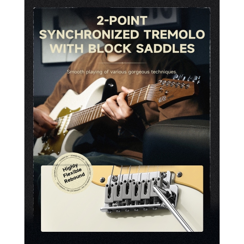 Donner DST-550 ST 7-Tone Electric Guitar HSS Pickup Roasted Maple Neck