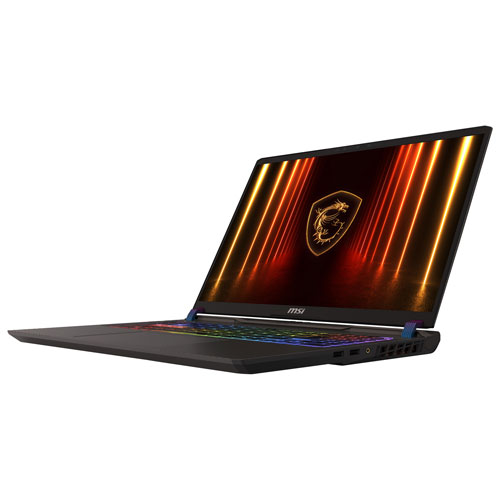 Portable de jeu Vector HX de 16 po de MSI