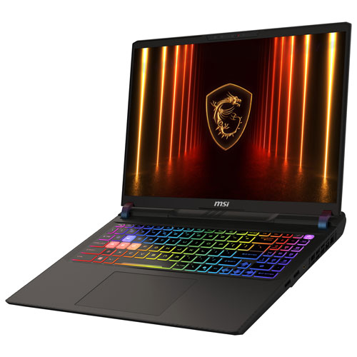 MSI Vector HX 16" Gaming Laptop - Cosmo Gray (Intel Core Ultra7-255HX/32GB RAM/1TB SSD/GeForce RTX 5070TI)