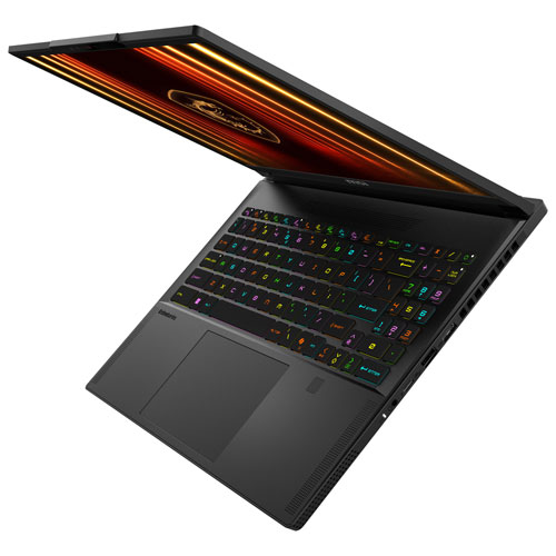 MSI Stealth A16 AI+ 16" Copilot+ Gaming Laptop (AMD Ryzen AI 7 350/32GB RAM/1TB SSD/GeForce RTX 5070TI)