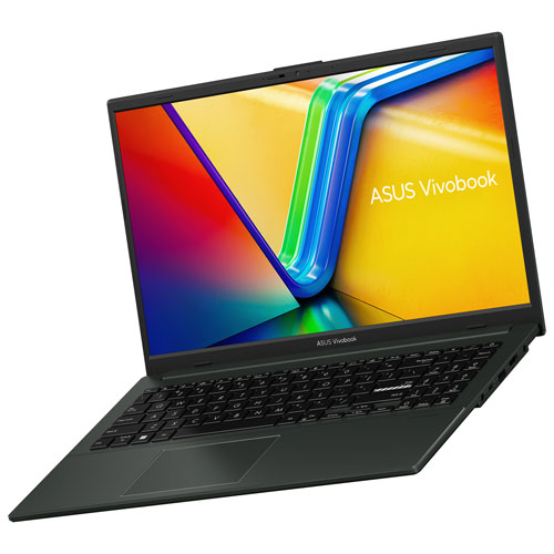 ASUS Vivobook Go 15 15.6" Business Laptop - Mixed Black (Intel Processor N100/4GB RAM/128GB SSD/Windows 11 Home)