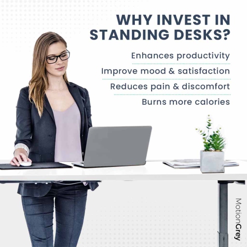 MotionGrey - Dual Motor Standing Desk with 4 Memory Settings, Adjustable Sit-Stand Computer Table for Home, Office & Gaming -55"x28" White Marble Top