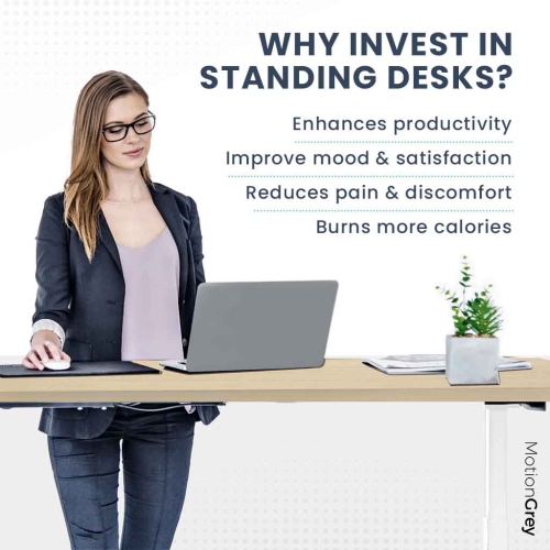 MotionGrey - Dual Motor Standing Desk with 4 Memory Settings, Adjustable Sit-Stand Computer Table for Home, Office & Gaming - 55" x 28" Oak Brown Top