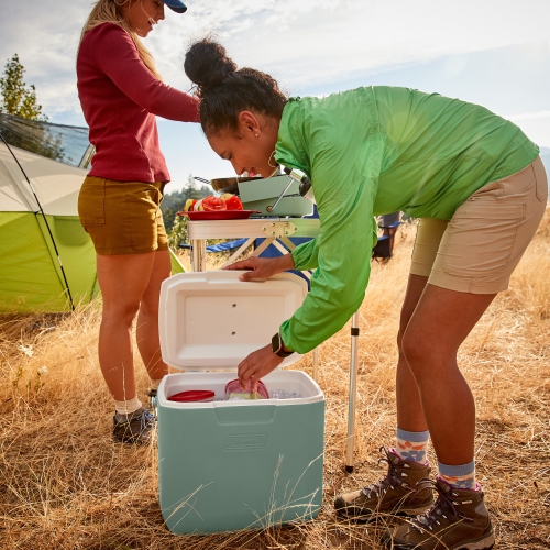 Coleman - Glacière personnelle 30&nbsp;Qt Chiller - Mousse de noyer