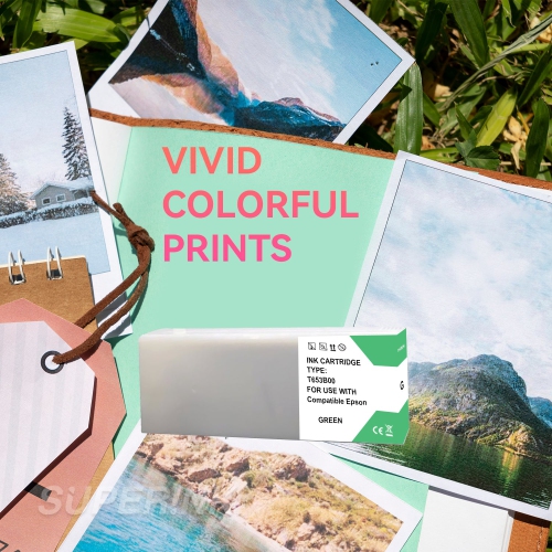 Compatible avec la cartouche d'encre verte T653B00 d'Epson de Superink