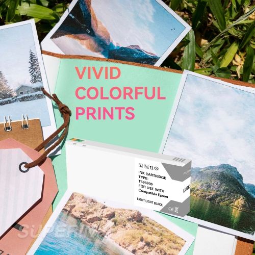 Compatible Epson T596900 700ML Light Light Black Ink Cartridge By Superink