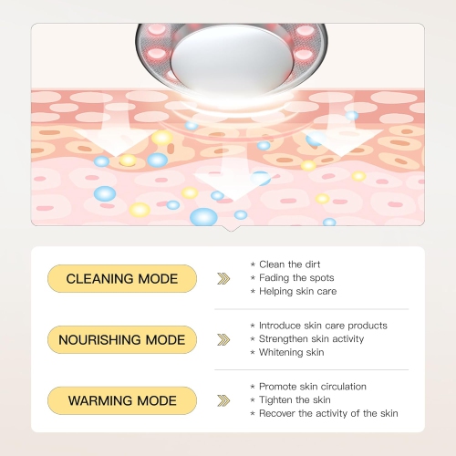 Appareil de beauté faciale de Microcurrent Appareil de massage facial Outil rouleau pour soin de la peau Appareil de massage pour le visage Red Blue