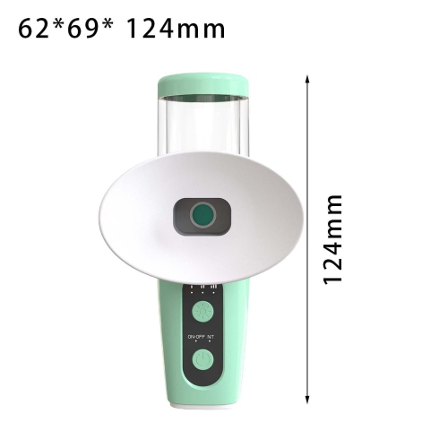 Eyes Mist Sprayer Mini 20ml Adjustable Cool or Warm Mist Nano Facial Mister(Green)