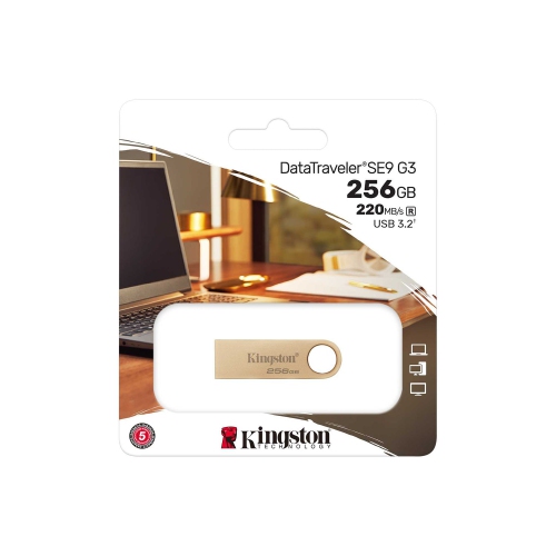 Clé USB-A 3,2 DataTraveler SE9 G3 256 Go de Kingston (DTSE9G3256GB)