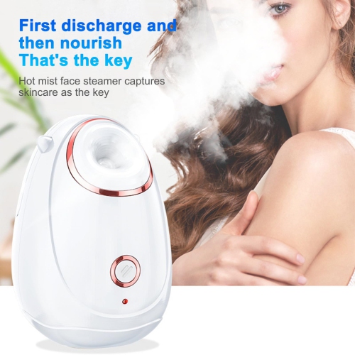 Facial Moisturizing Device Portable Hydrating Facial Steamer Home Nano Heat Facial Device Beauty Instrument with 180ML Water Tank