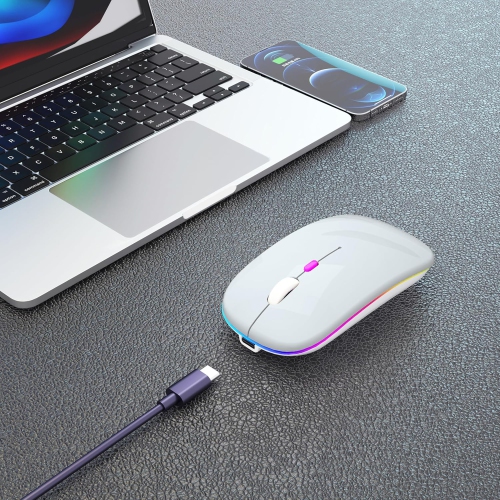 Wireless Bluetooth Mouse Rechargeable Laptop Mouse Portable LED Computer Mice Use(BT5 or USB 2.4G) Dual Mode Connection Silent Slim Mouse