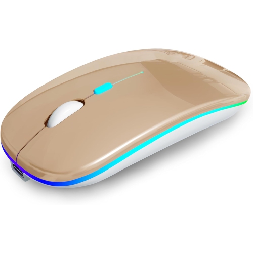 Wireless Bluetooth Mouse Rechargeable Laptop Mouse Portable LED Computer Mice Use(BT5 or USB 2.4G) Dual Mode Connection Silent Slim Mouse