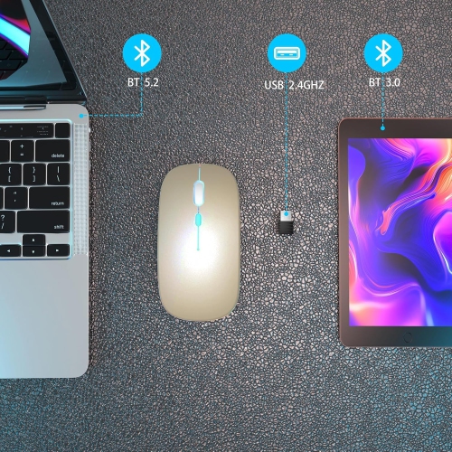 Wireless Bluetooth Mouse Rechargeable Laptop Mouse Portable LED Computer Mice Use(BT5 or USB 2.4G) Dual Mode Connection Silent Slim Mouse