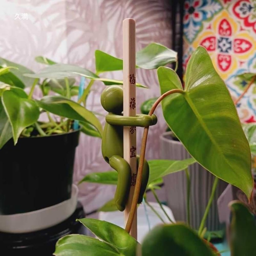 Plant figurine stand, plant hydroponic stand, cup wall plant support stand, suitable for office and living room