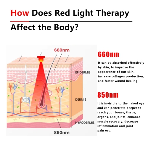 Body Red Light Therapy Lamp, Infrared Red Light Therapy Lamp with Stand, Home Light Therapy Device