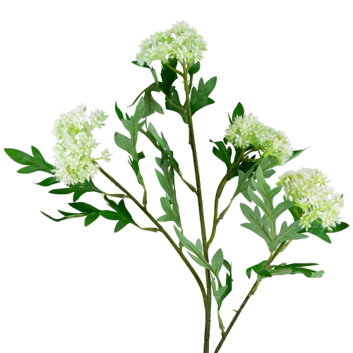 Finch Laceflower Artificial Floral Sprays- 27" - White and Green - Set of 6