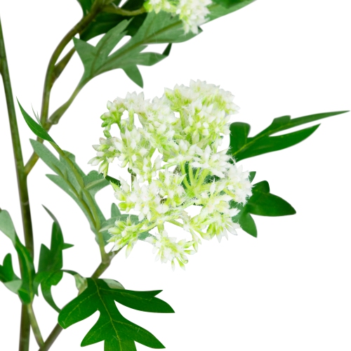 Finch Laceflower Artificial Floral Sprays- 27" - White and Green - Set of 6