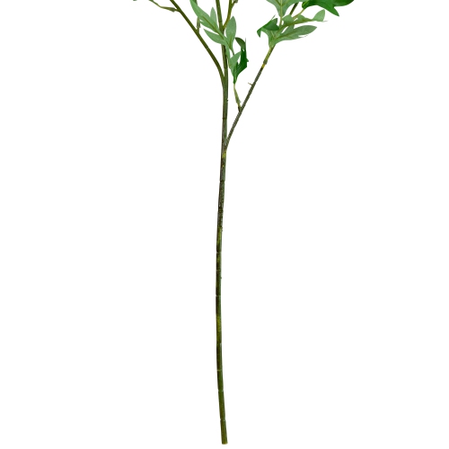 Finch Laceflower Artificial Floral Sprays- 27" - White and Green - Set of 6