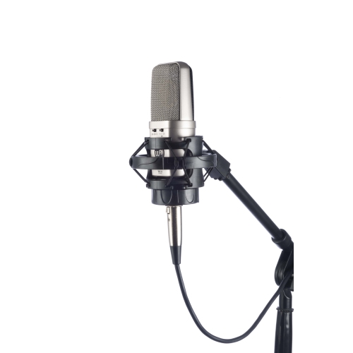 Warm Audio WA-14 Large-Diaphragm Transformer-Balanced Condenser Microphone