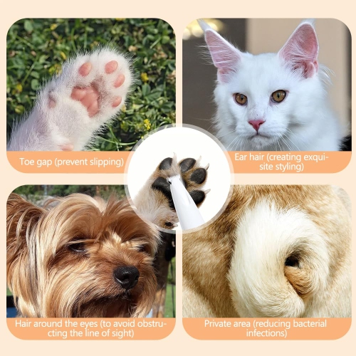 Tondeuse électrique pour pattes de chien, tondeuse pour pattes d'animaux avec lampe LED, tondeuse rechargeable à faible bruit pour poils d'animaux